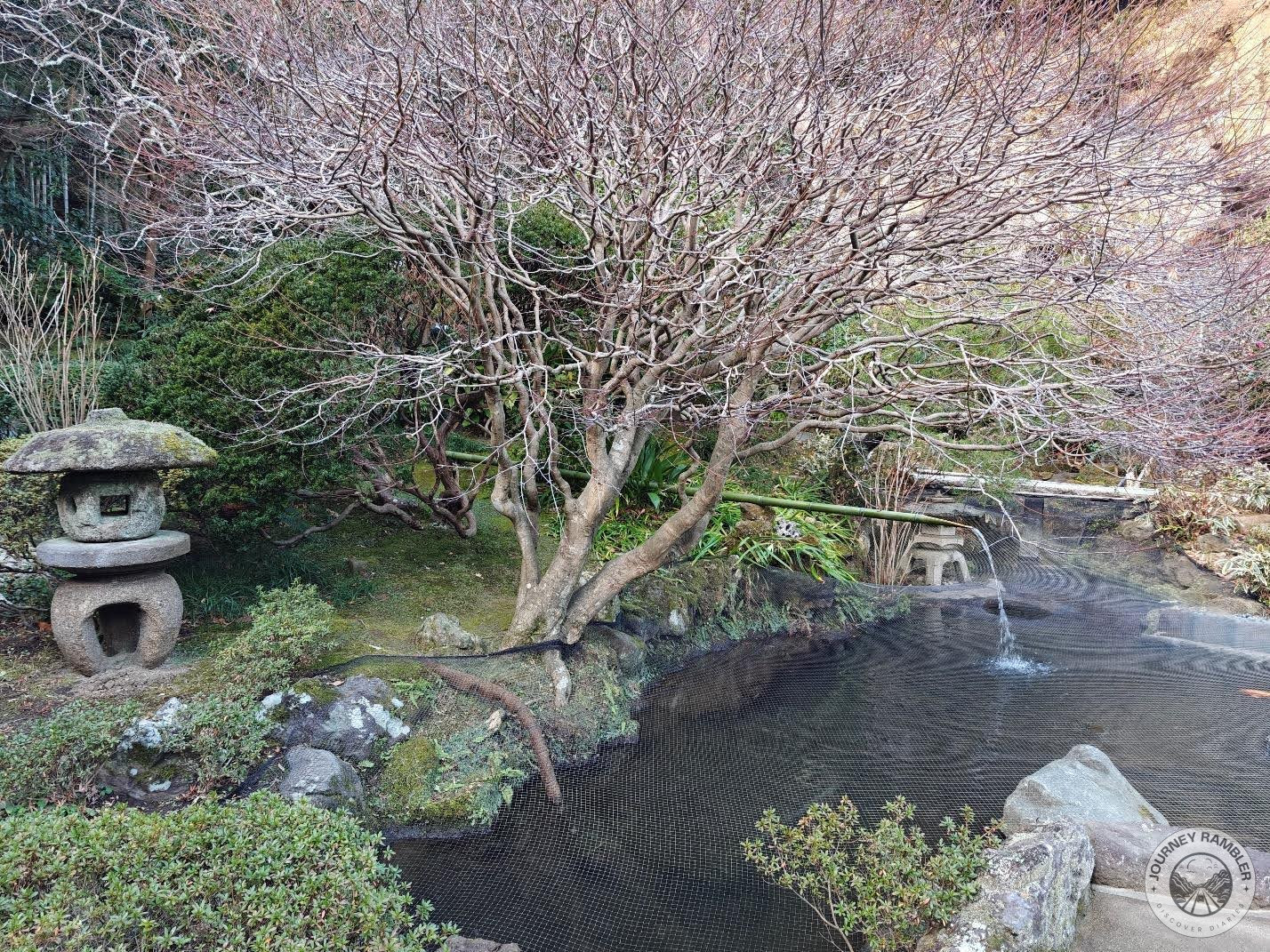 Hokokuji Garden pond