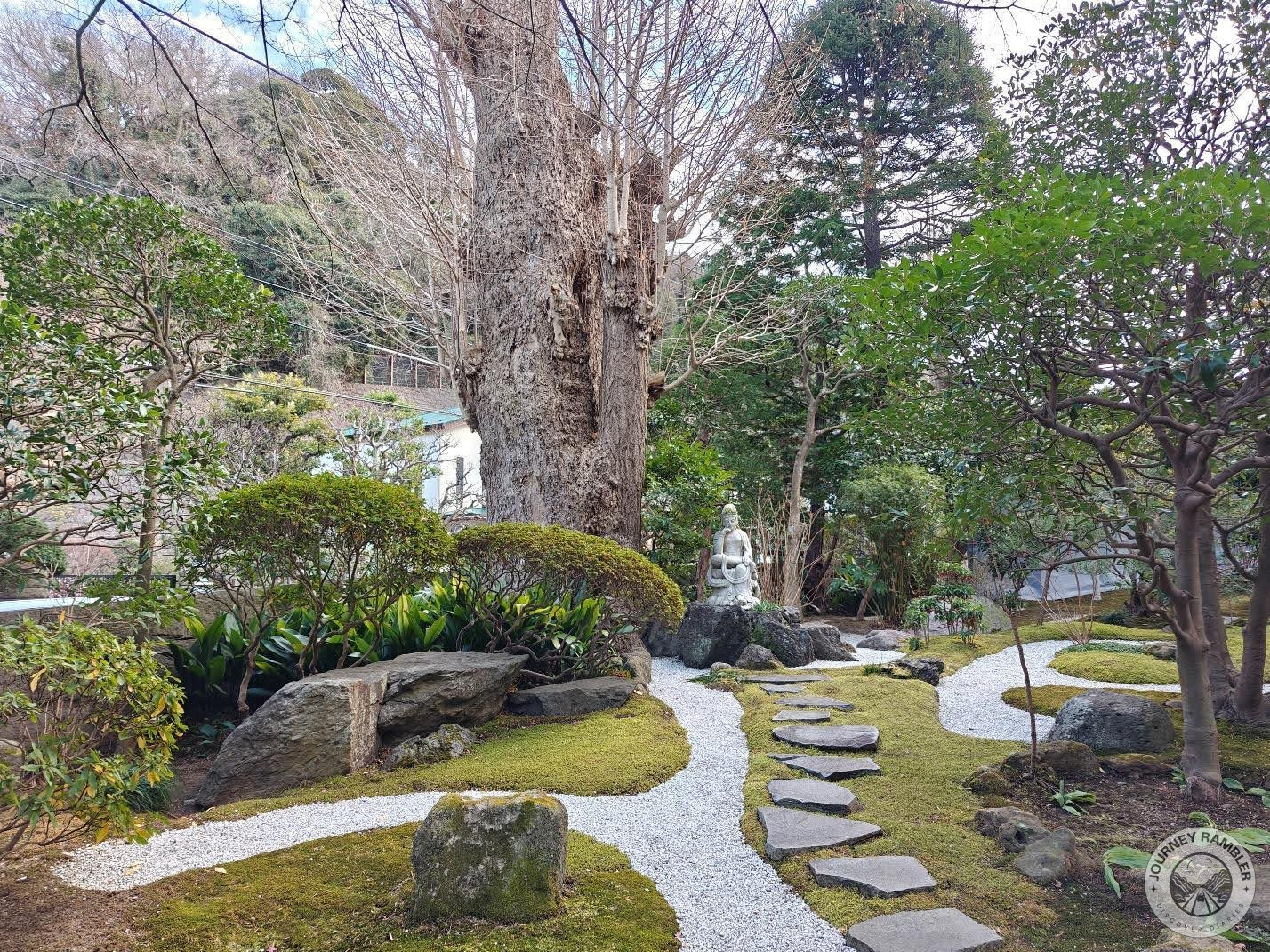 Madala tree