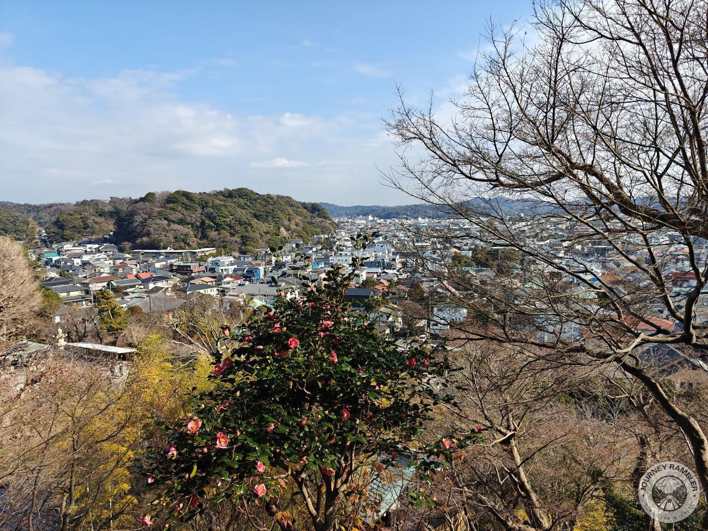Ocean View Path