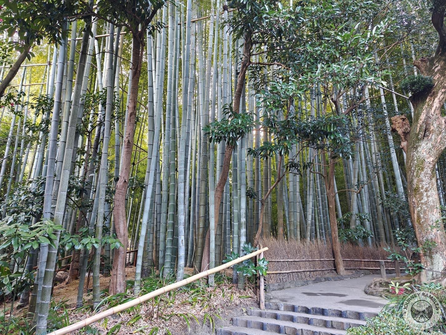 bamboo grove entrance