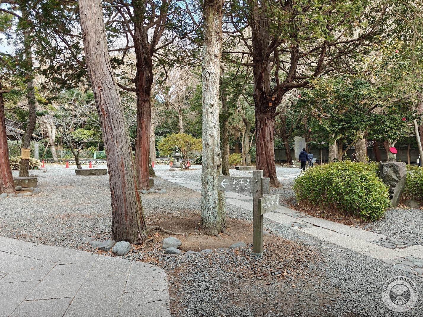 place at the back of the Great Buddha and the pavilion