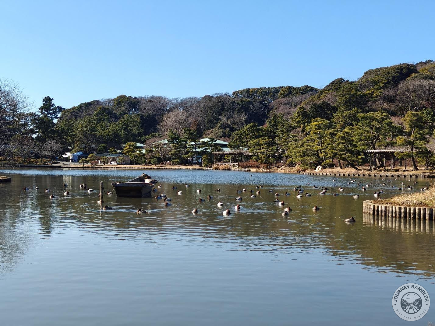 Main Pond