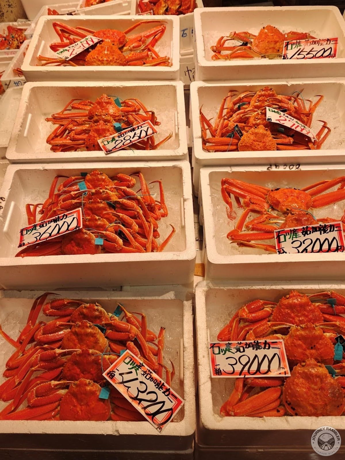 Matsuba crab