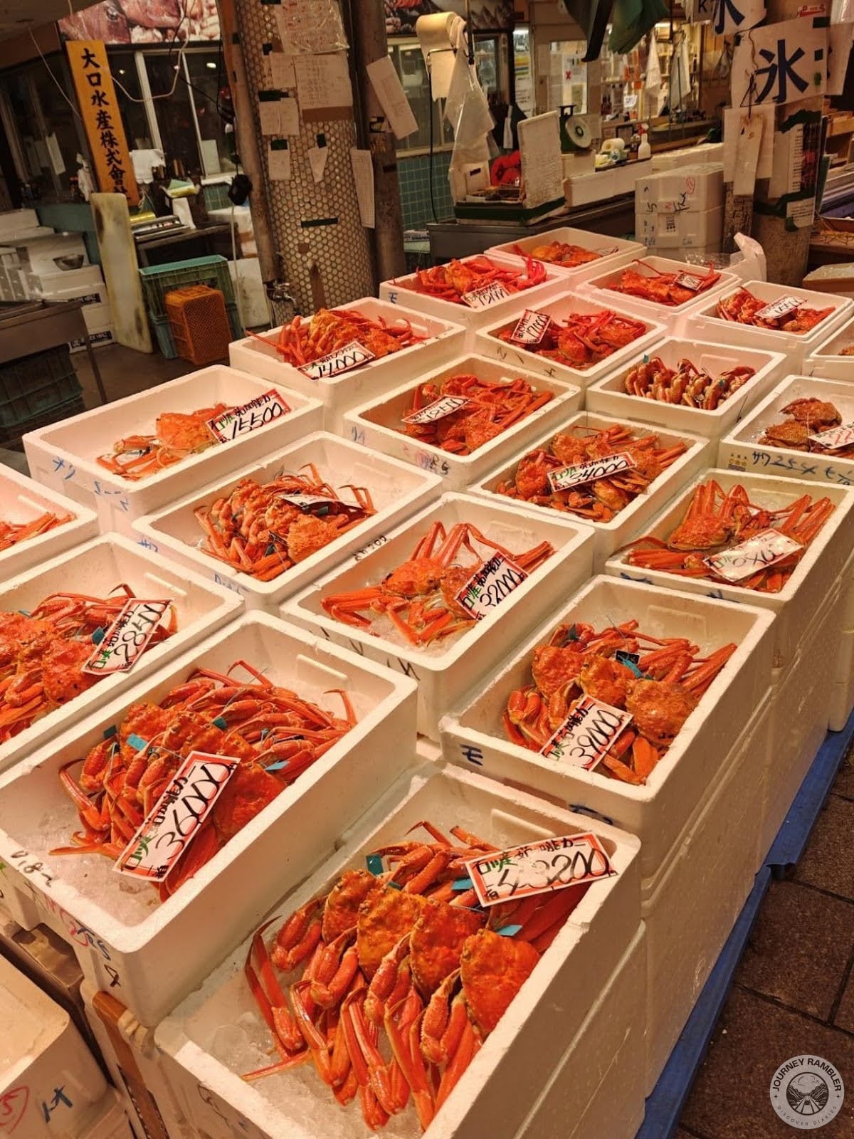 Matsuba crabs again