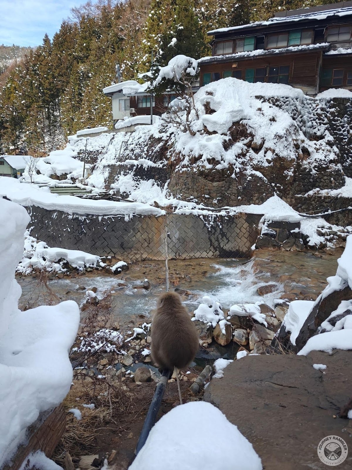 little dude looking over at the other side of the river