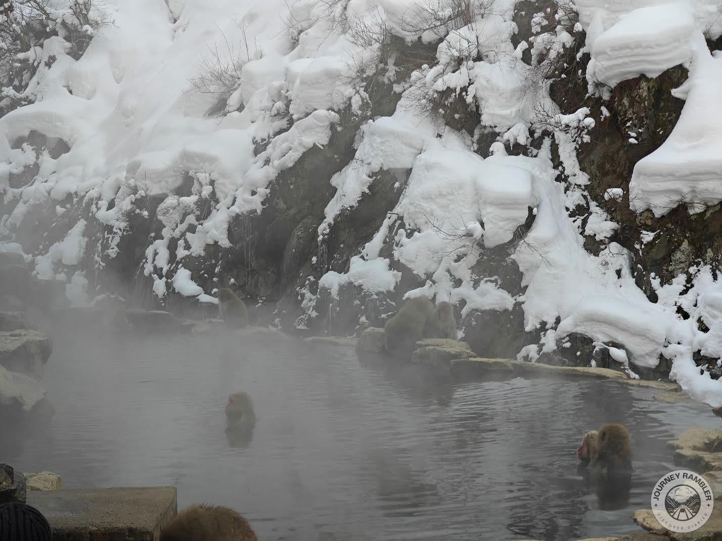 separate onsen area for monkeys