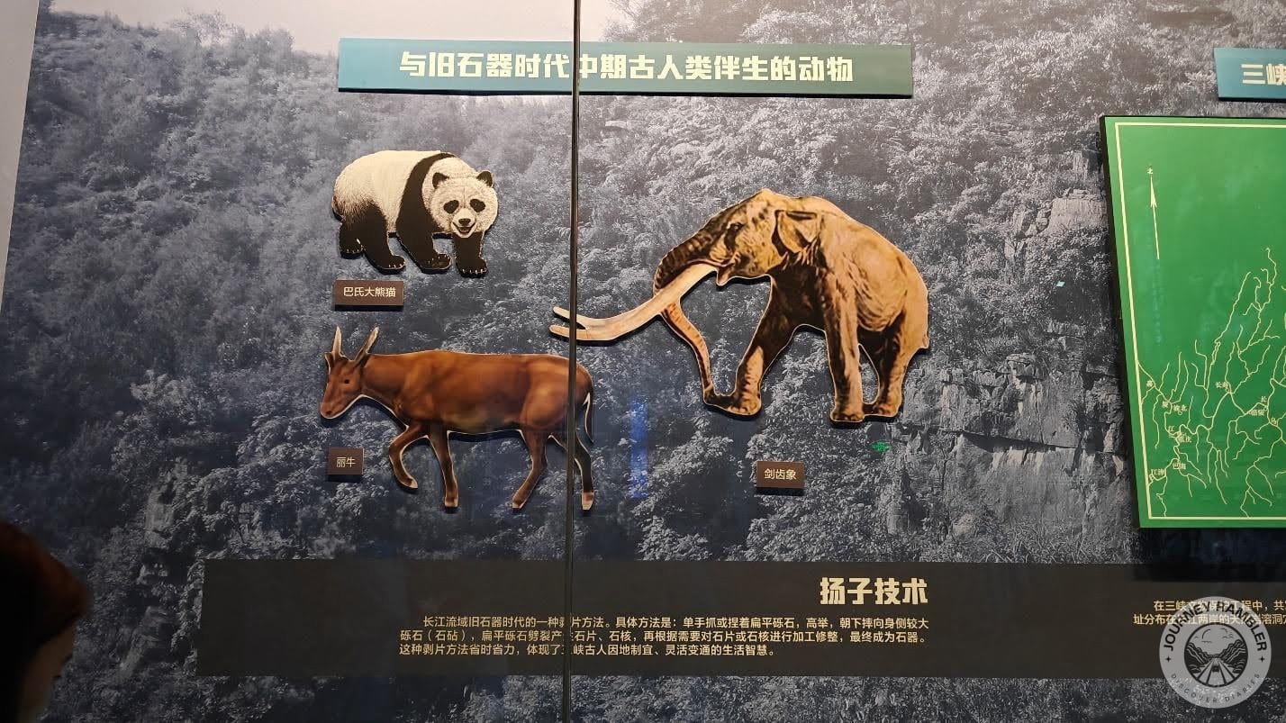 picture of the animals during the Middle Paleolithic period