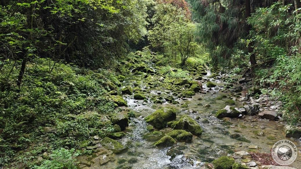 I came across this stream