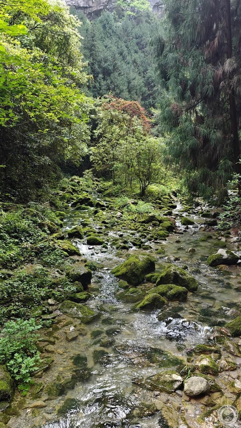 closer look stream