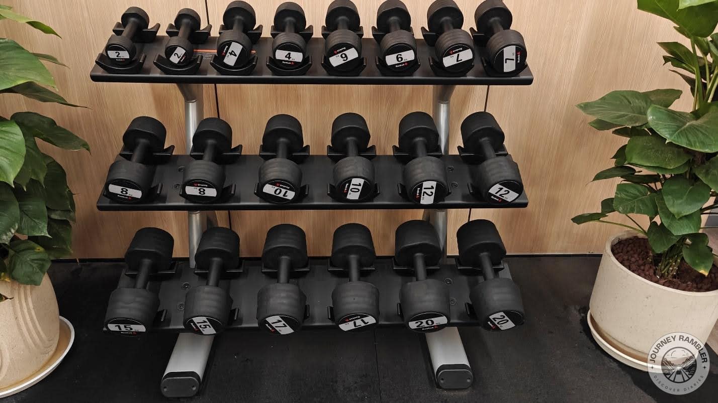 dumbbells