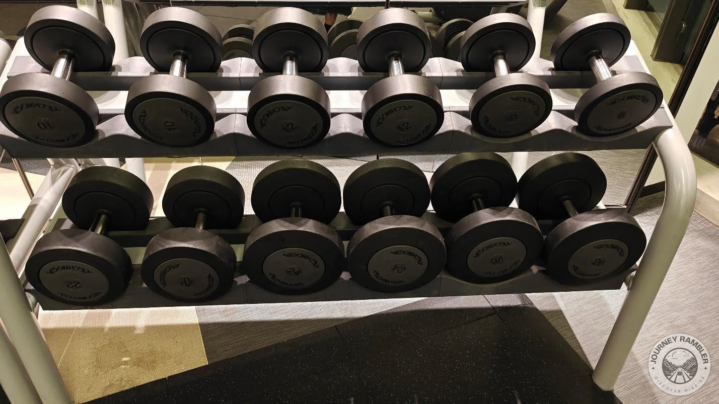 larger free weights