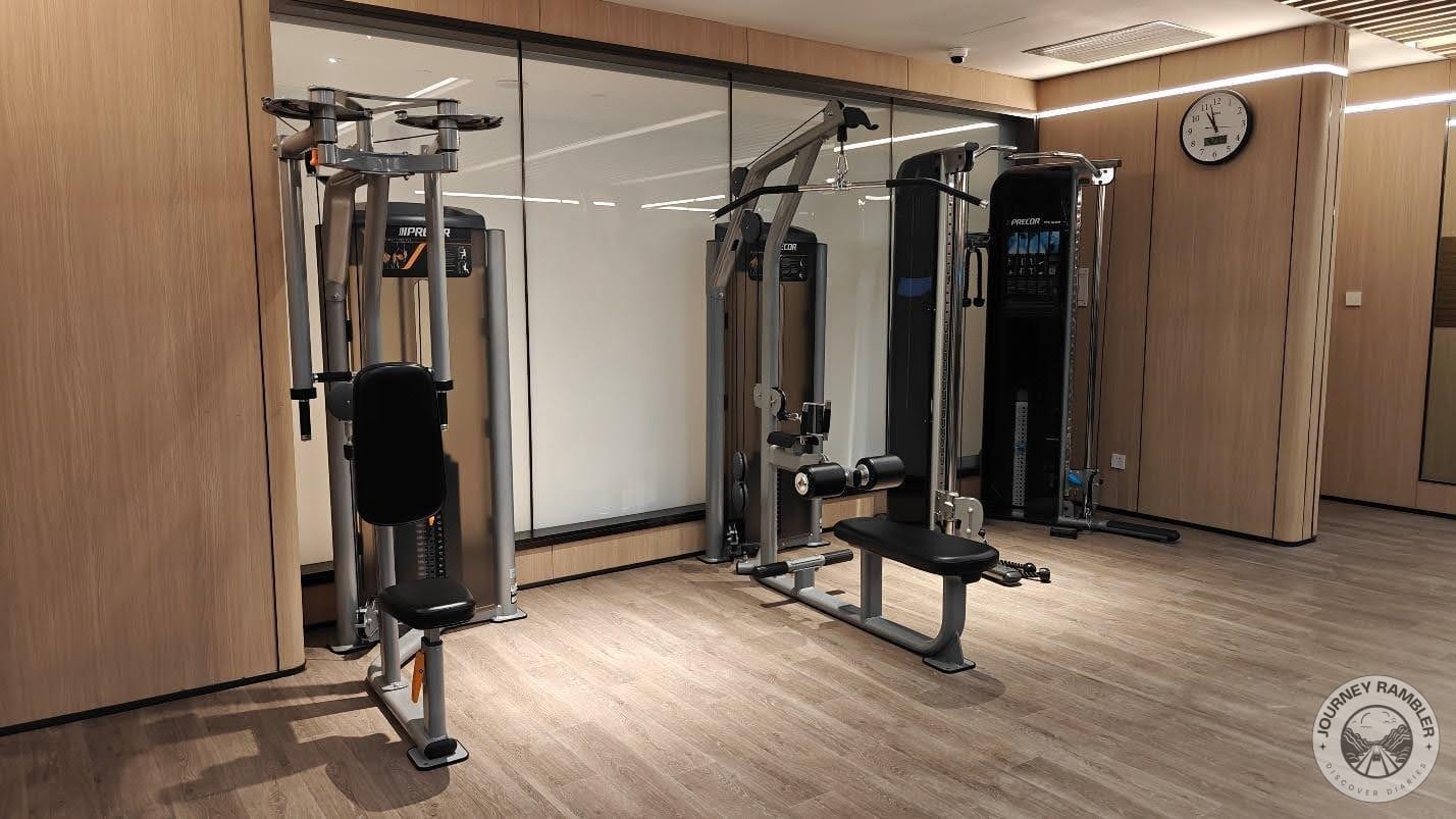 pec fly machine and lat pulldown machine
