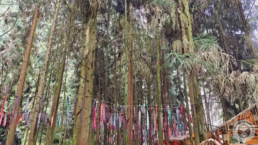 pine trees and those bunting-like objects