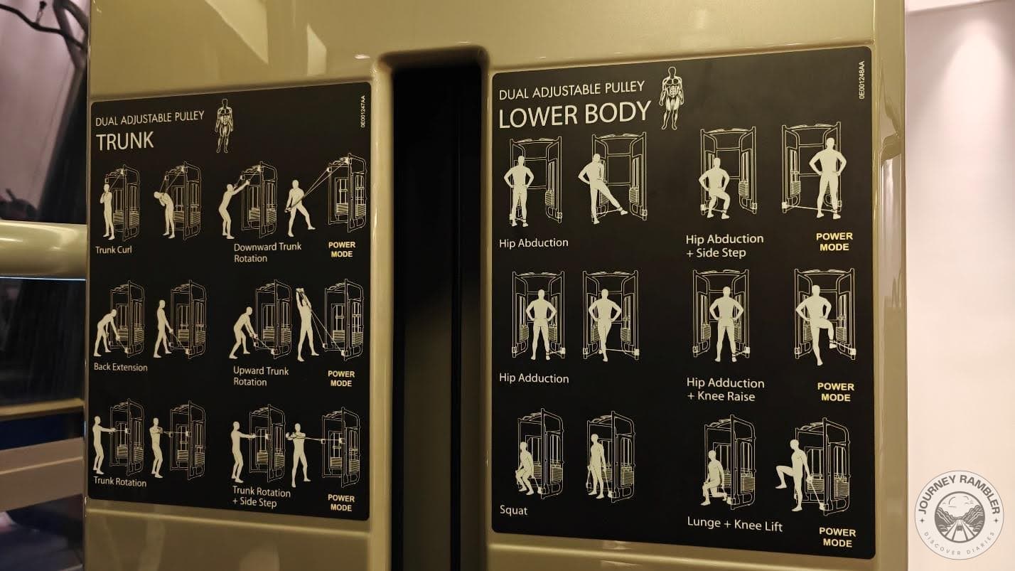 signs for the lower body and the trunk