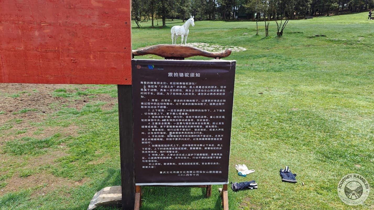 closer look at the guidelines for riding the camels
