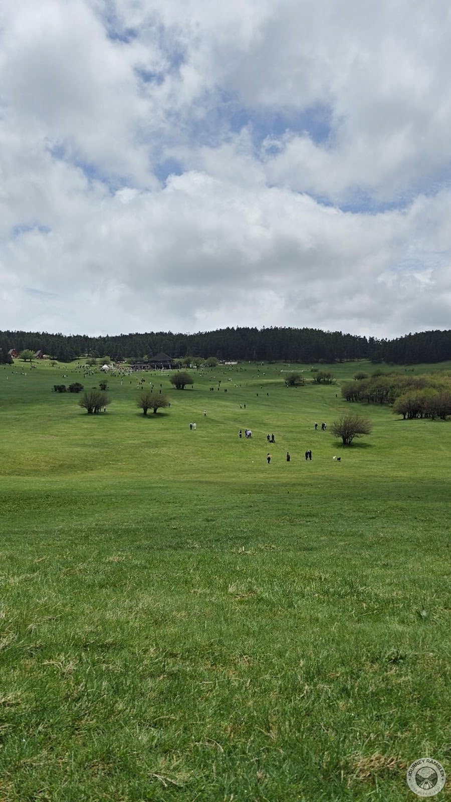 herd from afar
