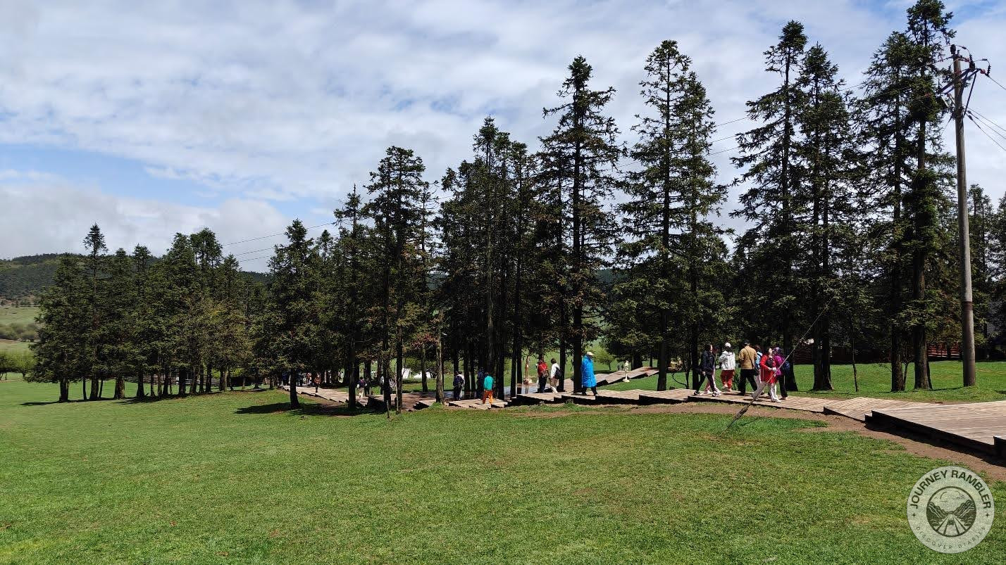 main pathway