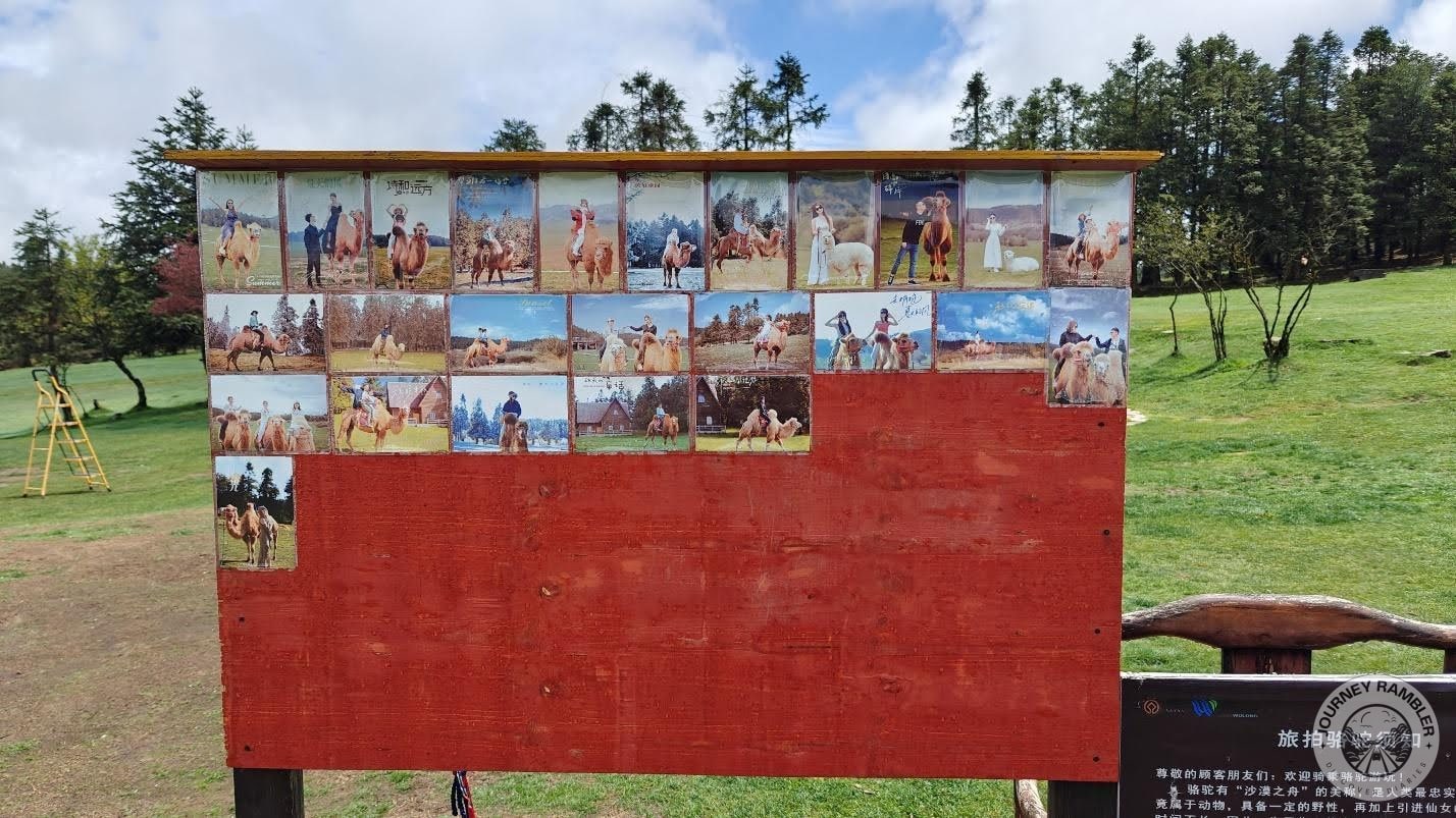 the pictures on this board