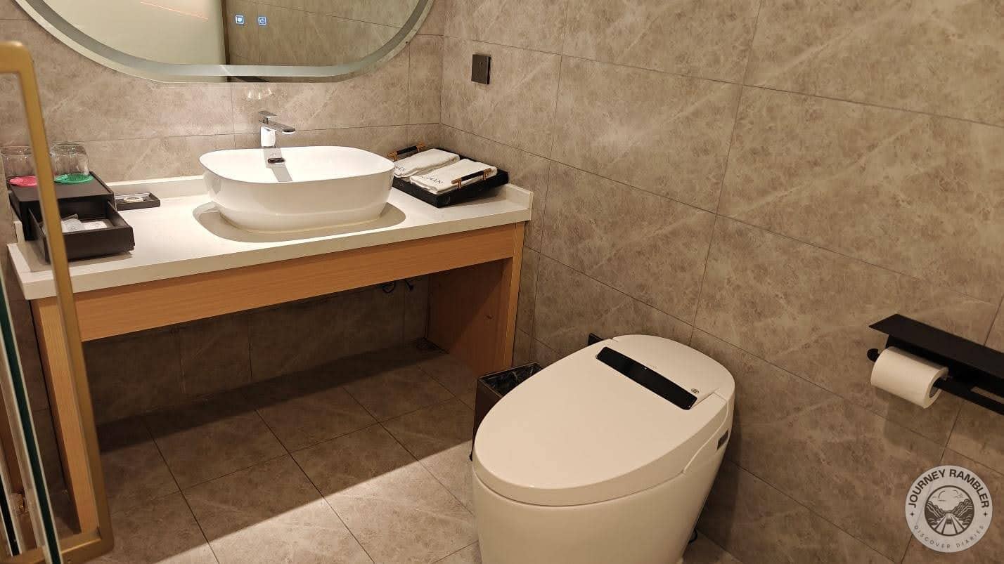 toilet again