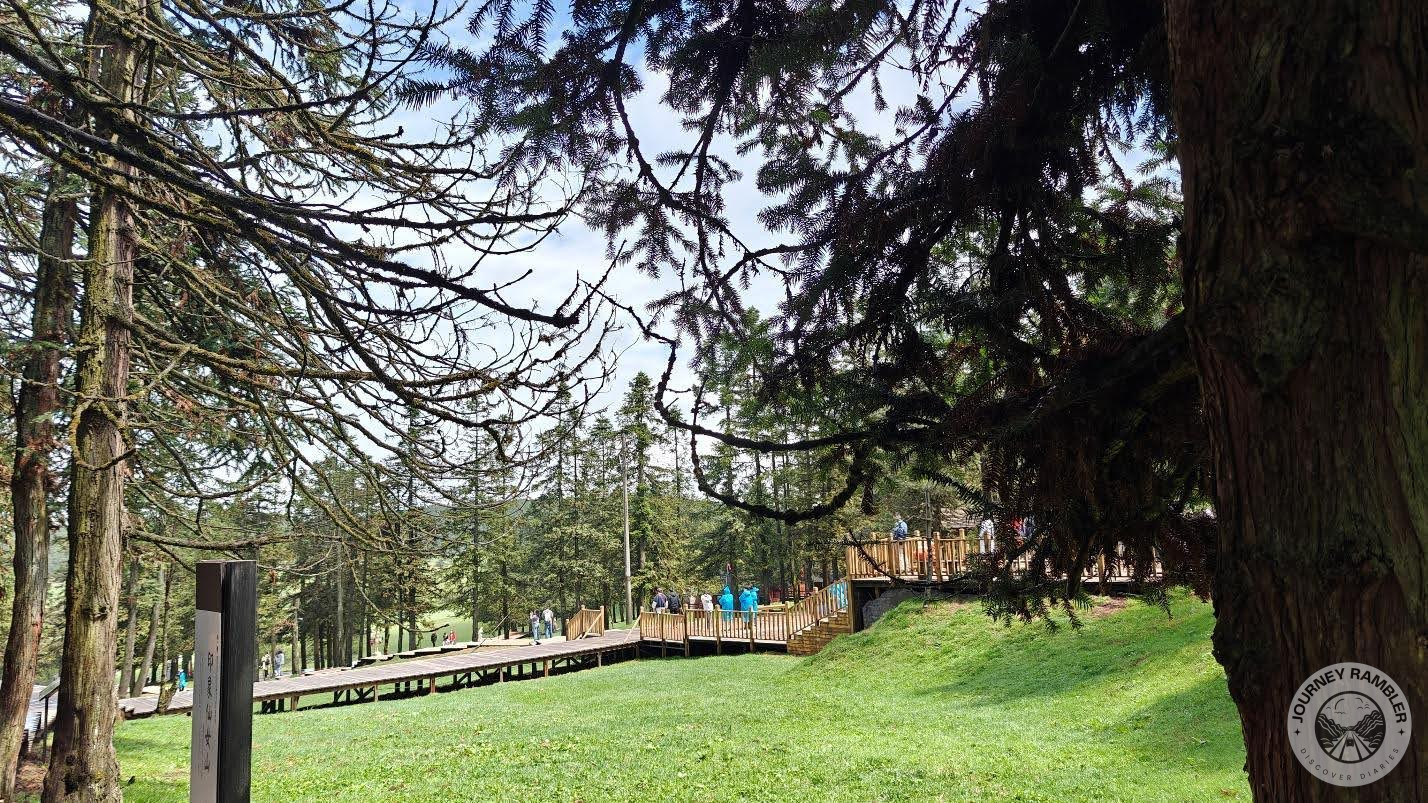 where this walkway joins with the main path