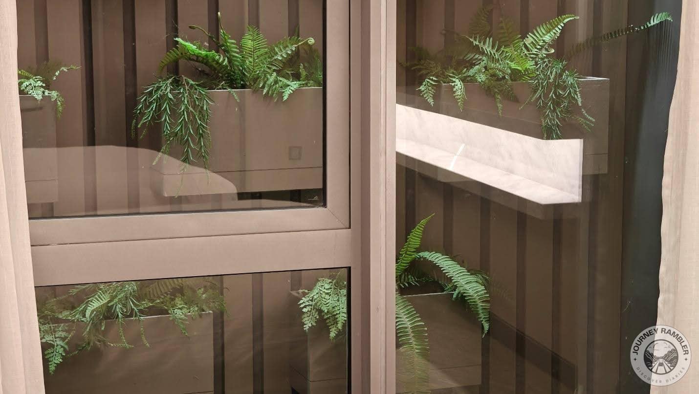 containers containing tropical ferns again closer look