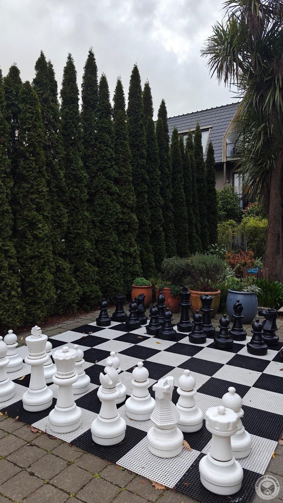 potted plants around the chess board