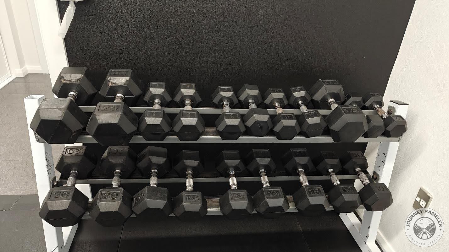 rows of dumbbells