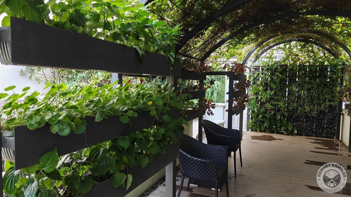 the garden feels so refreshing