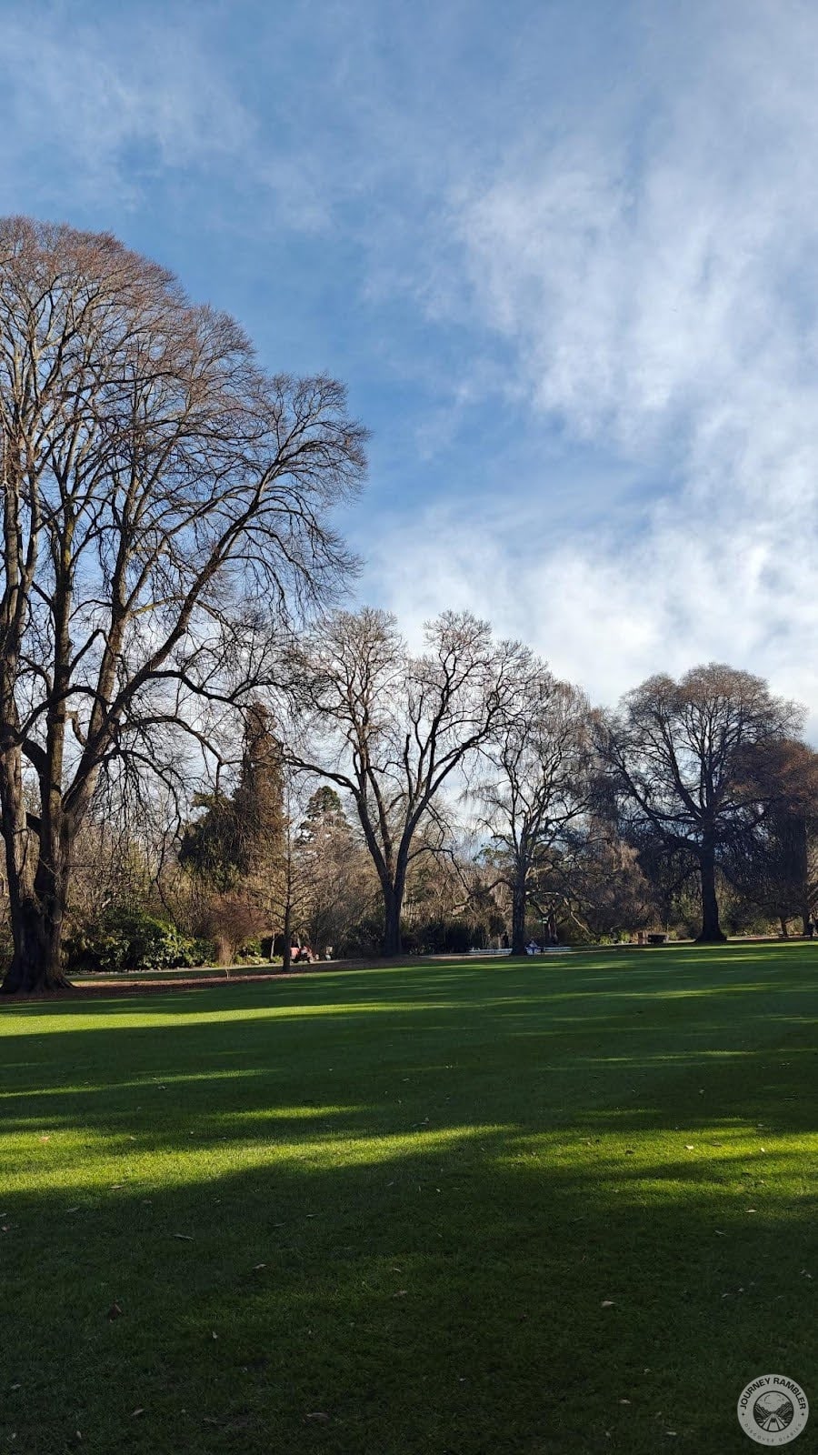 A lot of the trees (as well as plants) here are actually labelled