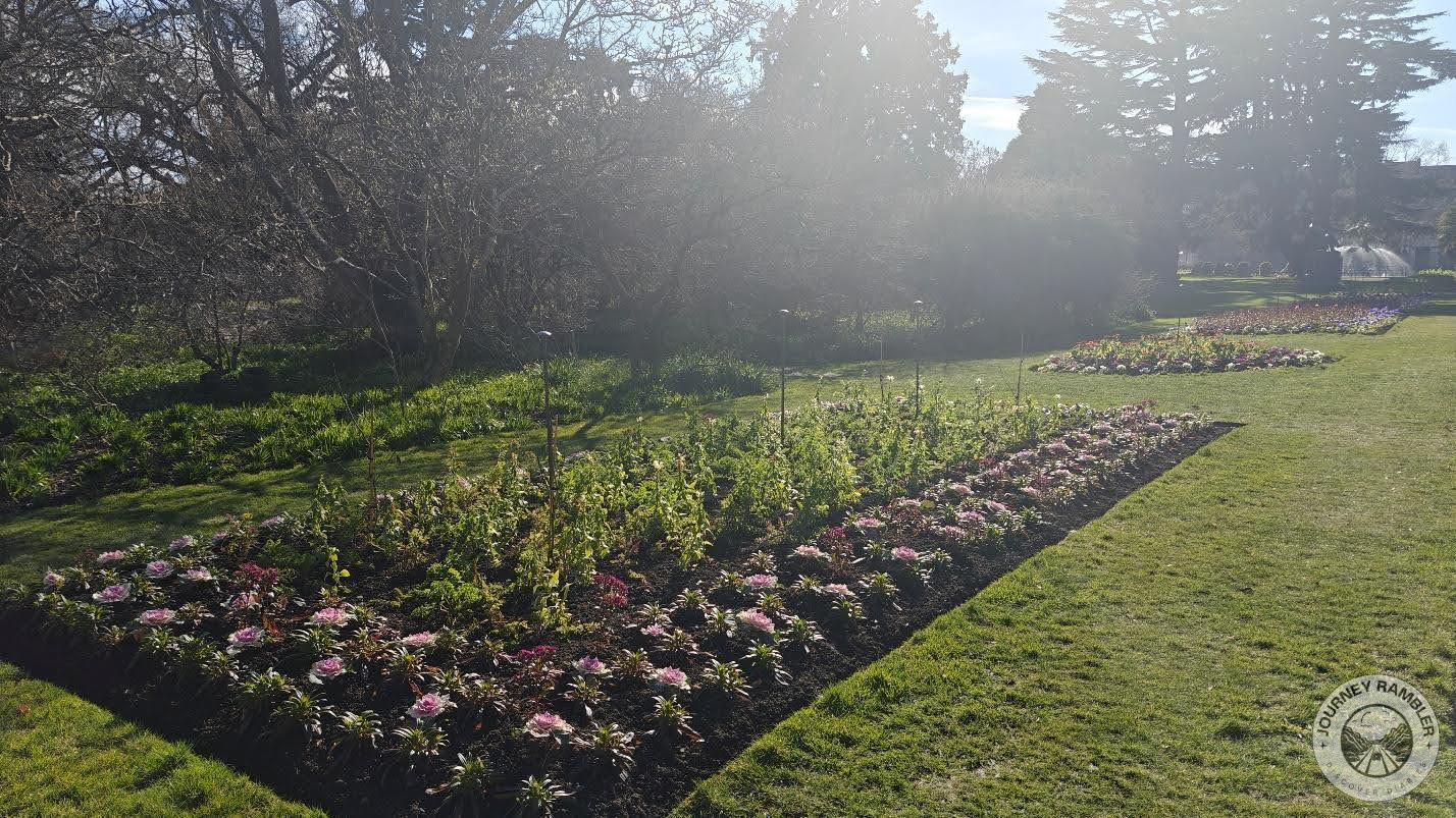 Armstrong Lawn