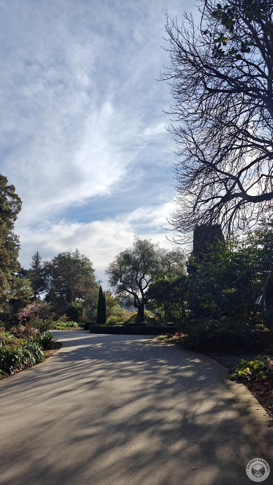 Iris Garden area