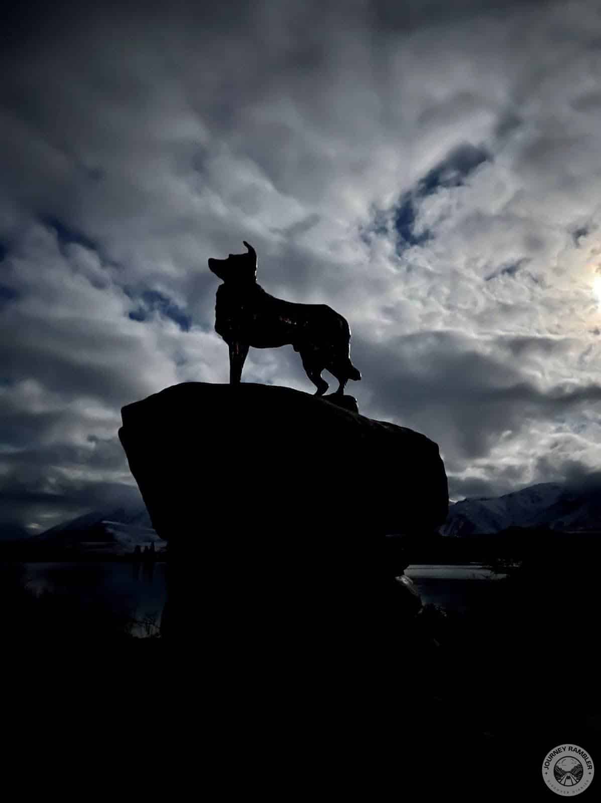Mackenzie Sheep Dog Statue night again