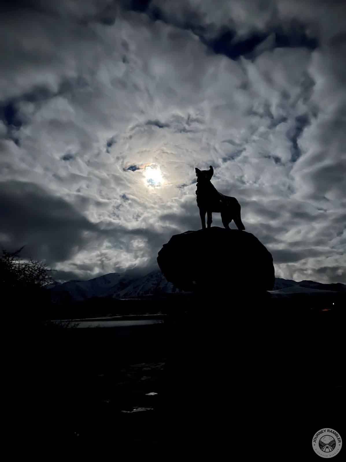 Mackenzie Sheep Dog Statue was one of the most unique things I had seen