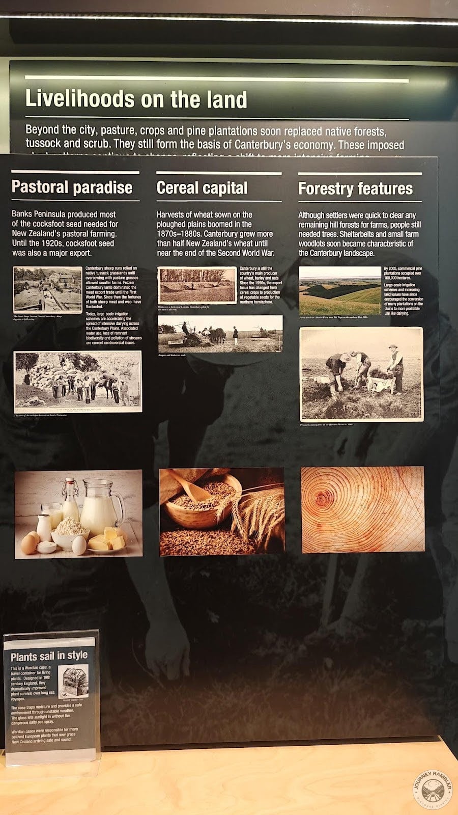 New Zealand was full of forest land and agricultural land