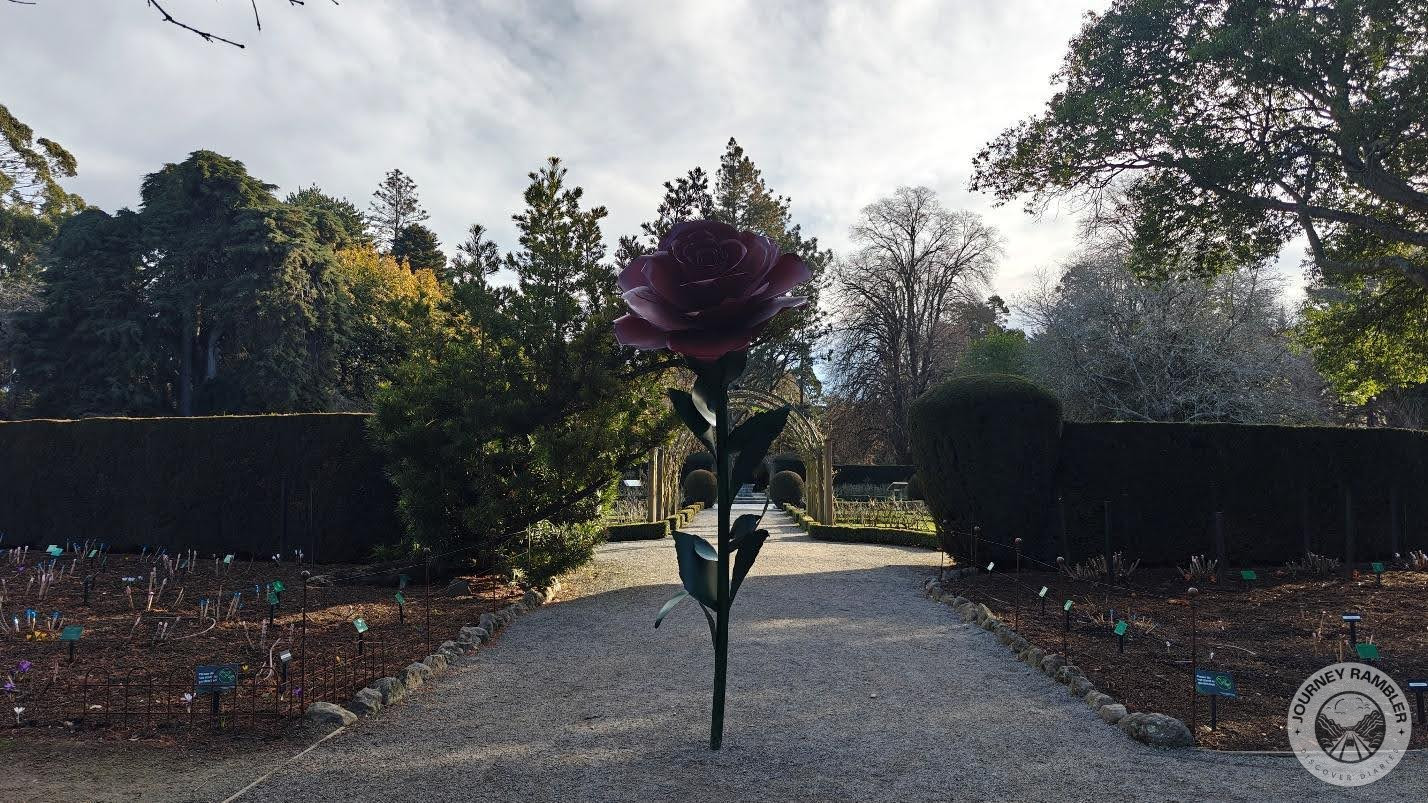 Rose Garden