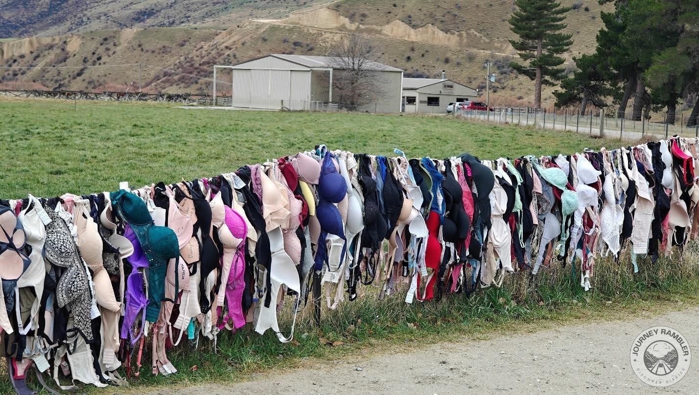 Some buildings and sheds were visible behind the fence