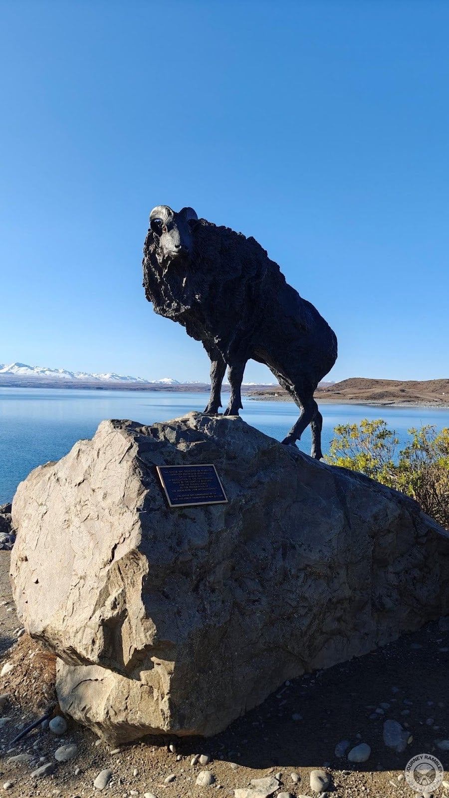 Tahr