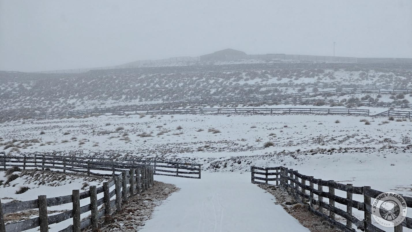 a pair of fences to the nearby buildings