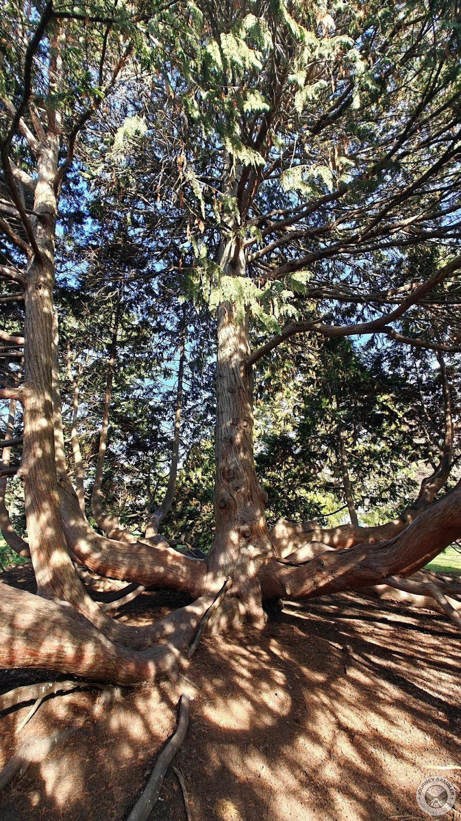 branch training