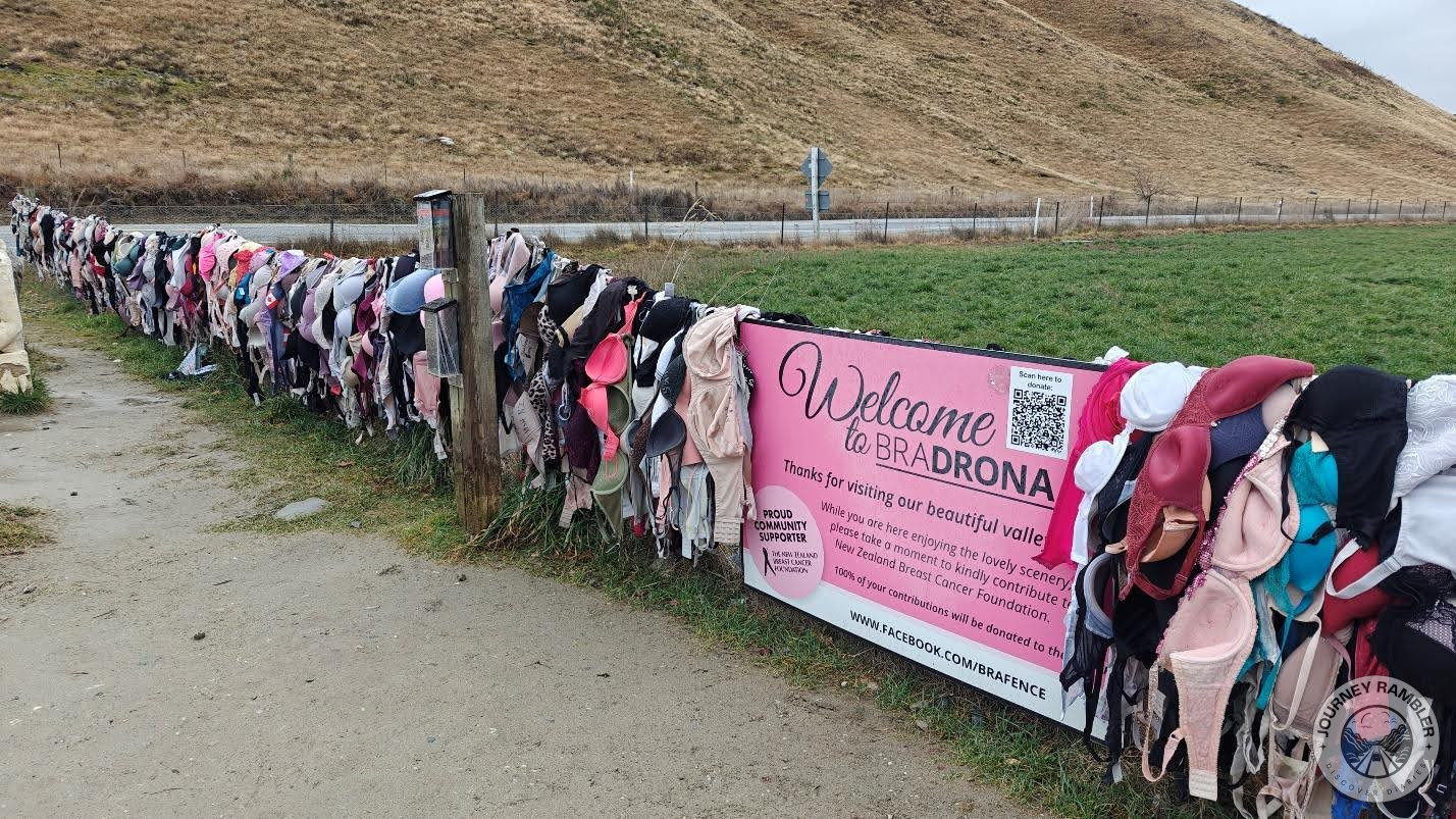 bras of all colors and sizes