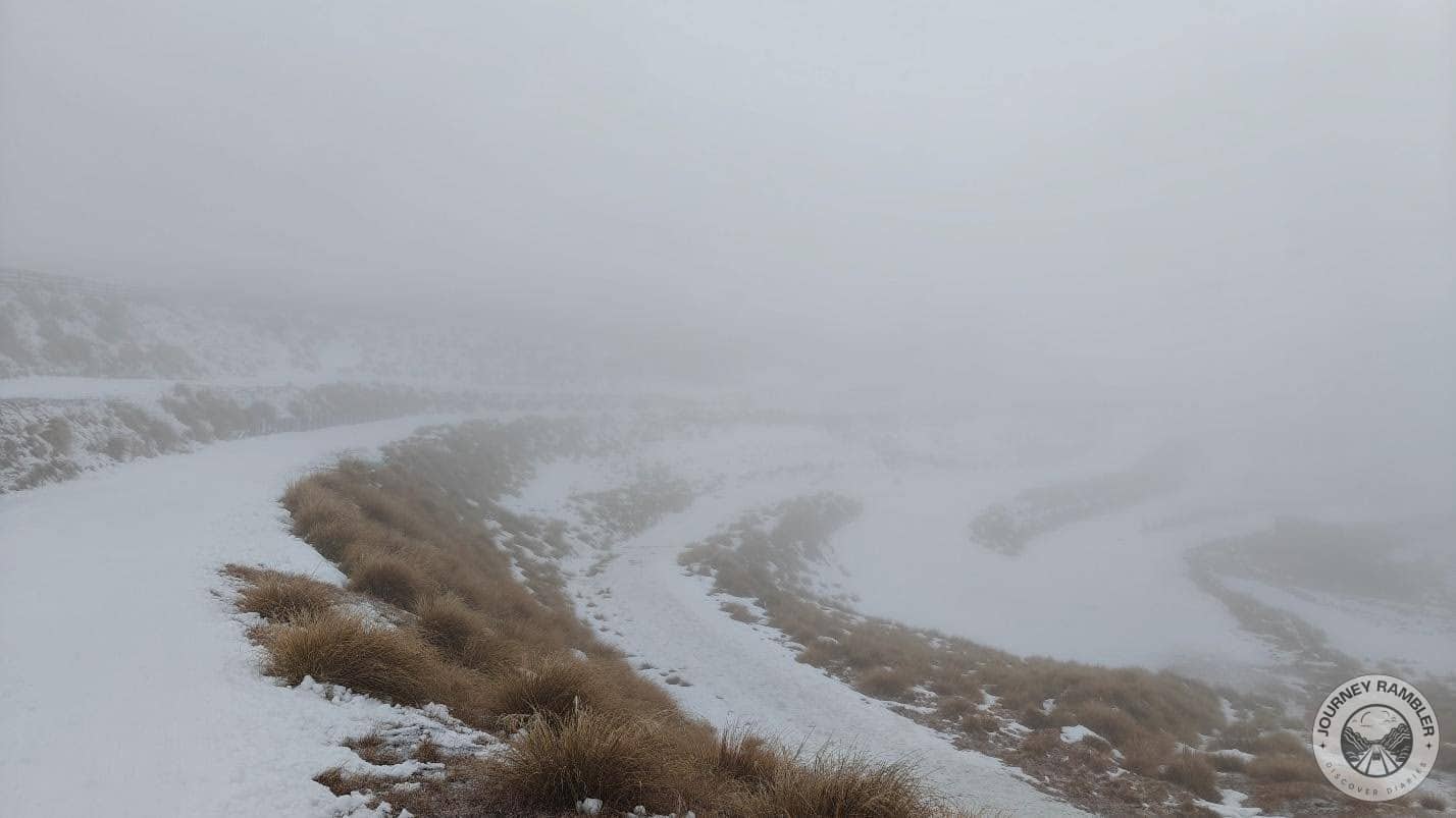brown grass growing everywhere, even under the snow
