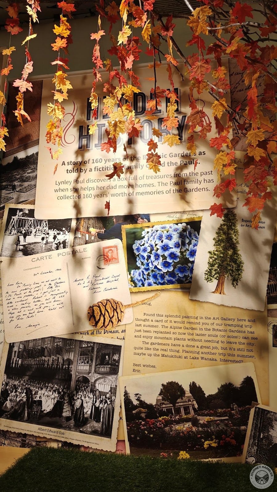 decorated one area with dried maple leaves hanging from the ceiling