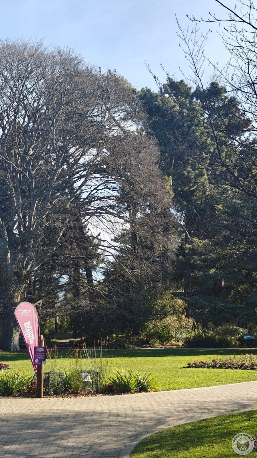 fork in the path