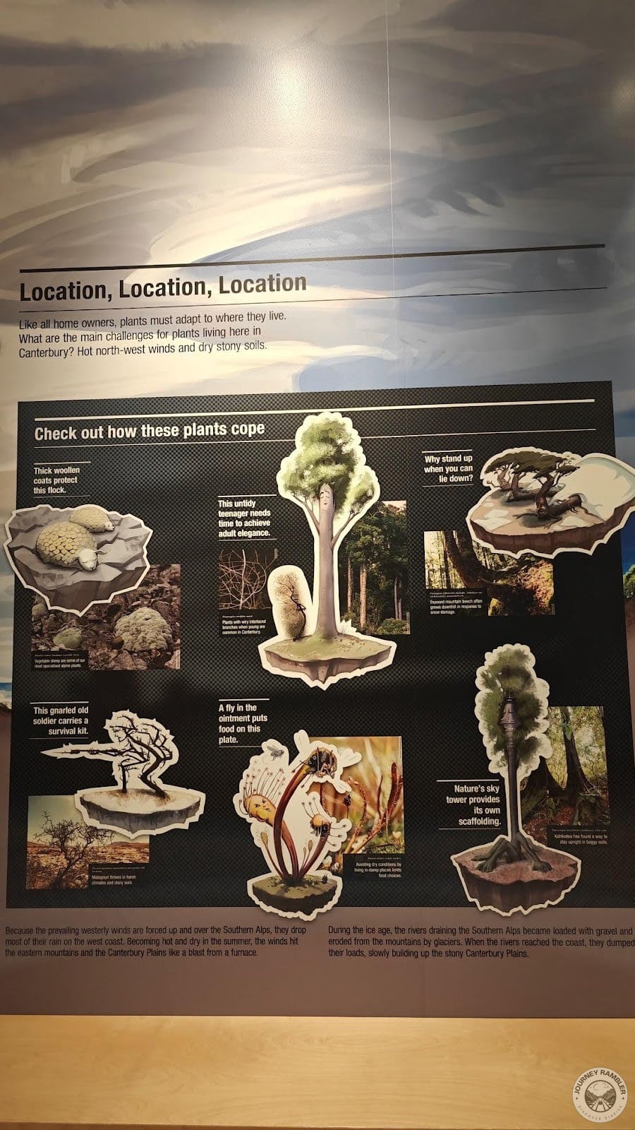 fun board that showed why certain plants looked a certain way