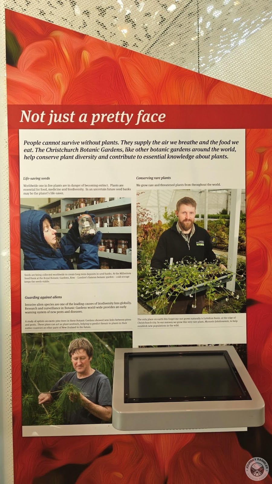 importance of saving rare plants