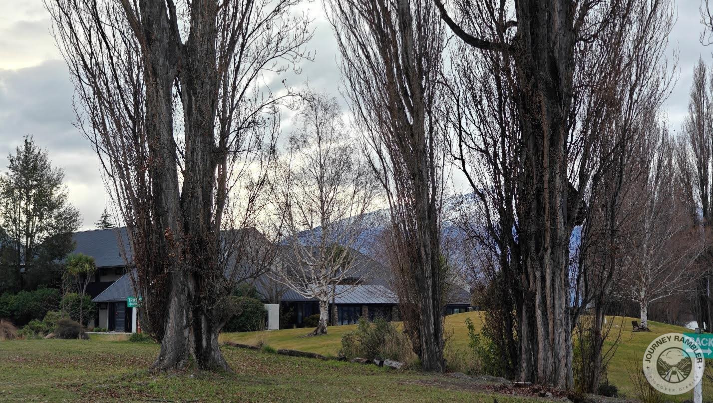 large trees around the whole property