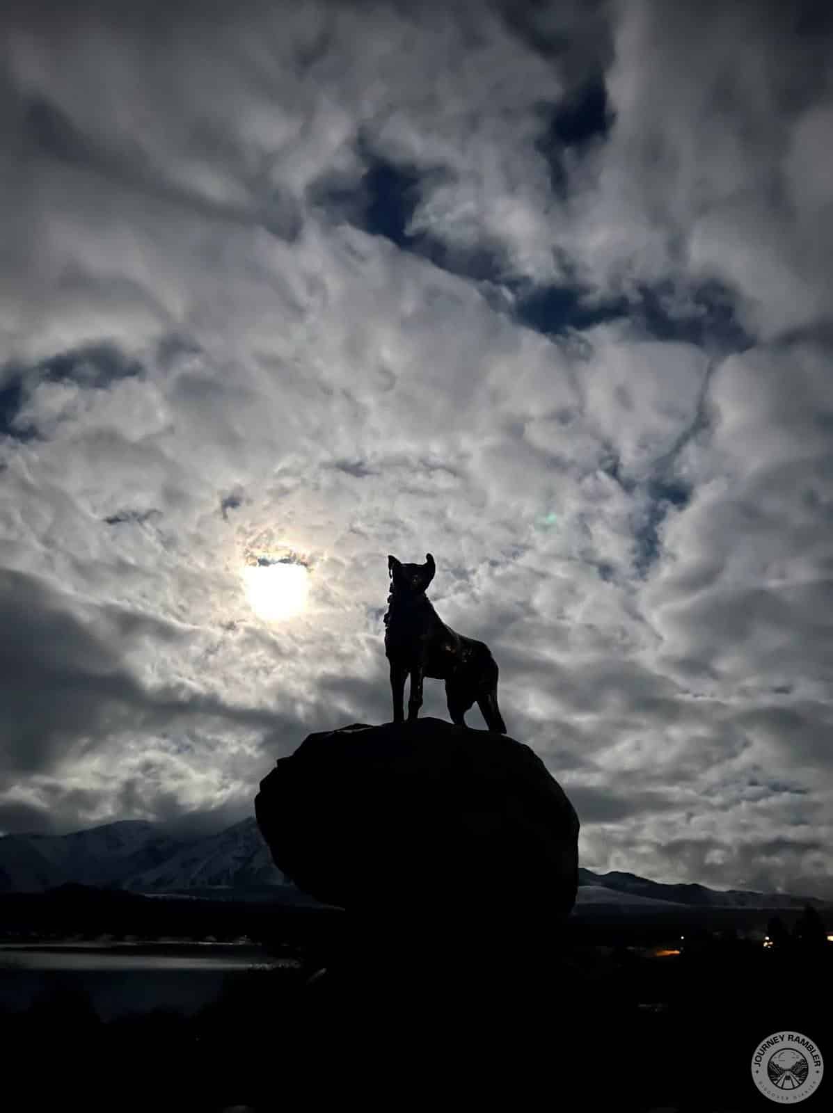 lights coming on behind the statue of the dog