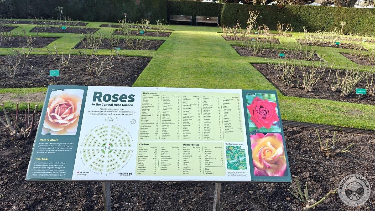 middle of the Rose Garden