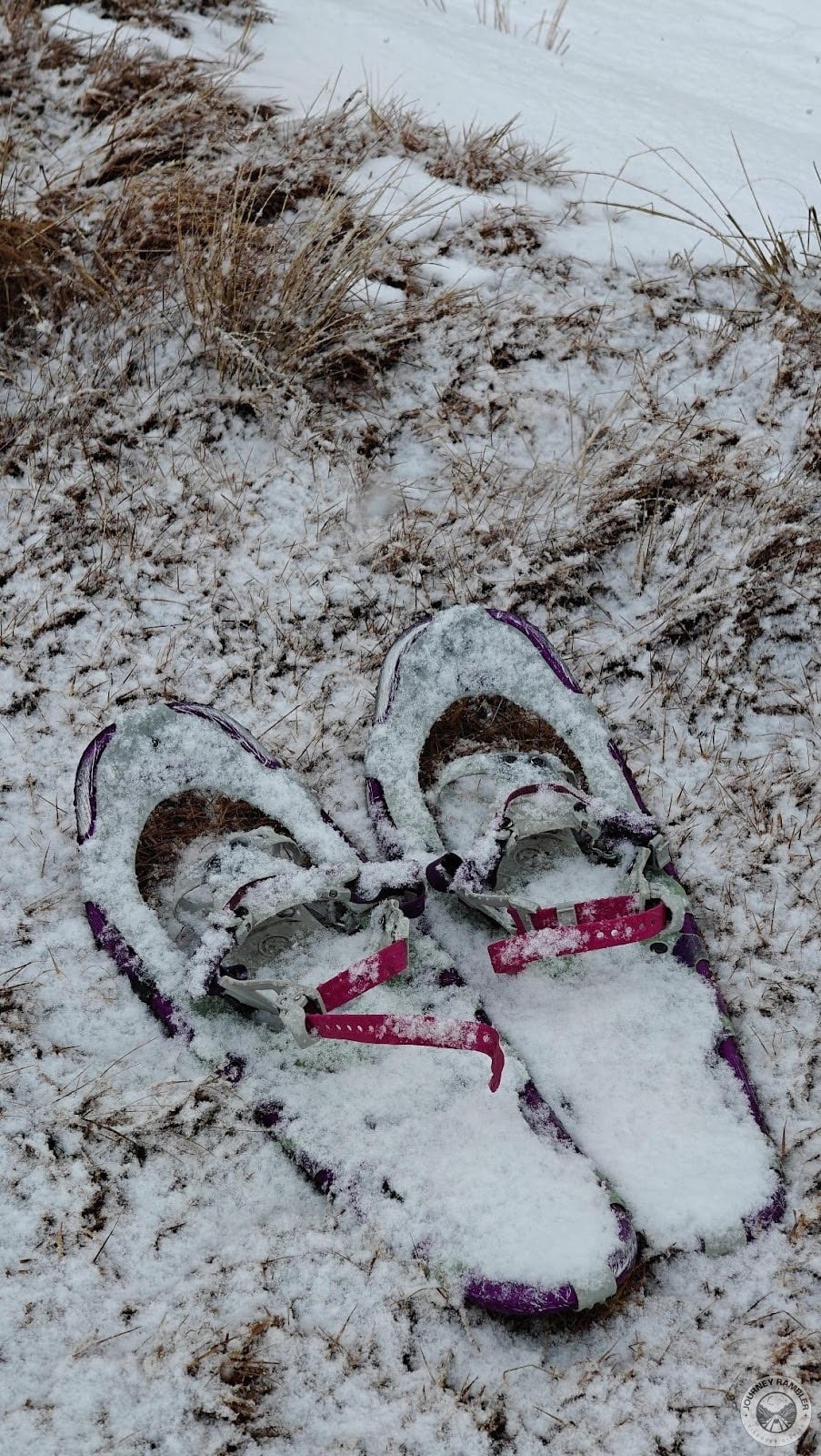 my snowshoes were covered in snow and ice