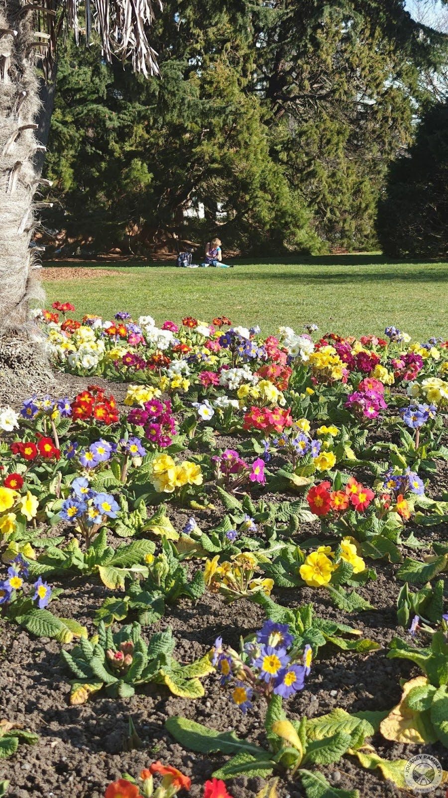 people resting or doing stuff while on the lawn